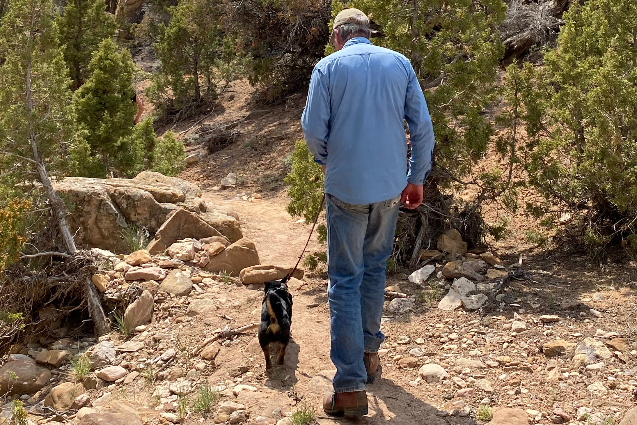 Tall man walking down a rough path in the wilderness with a Lancashire Heeler